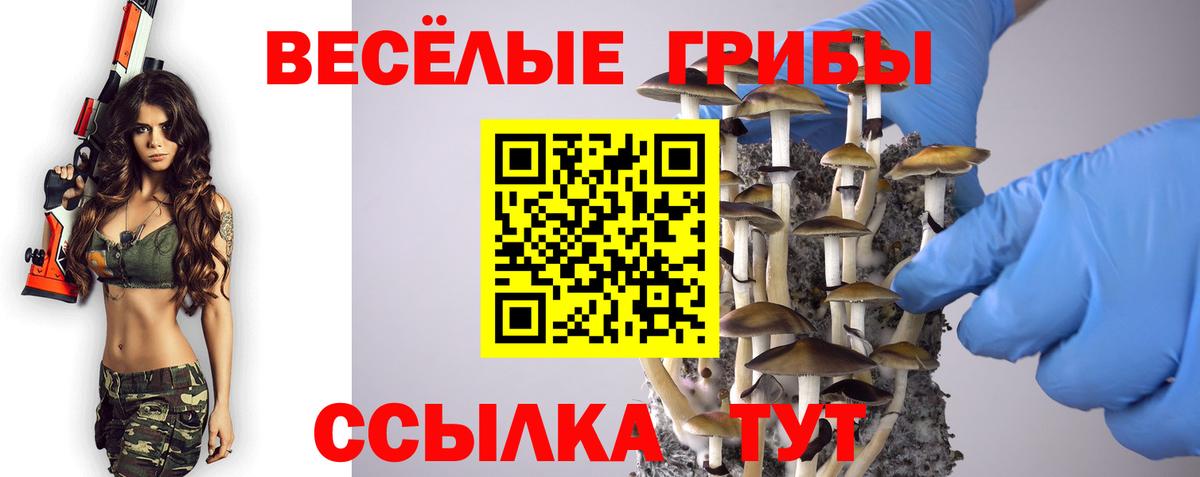 закладка  Галлюциногенные грибы ЛСД  Вход с VPN  Реж 